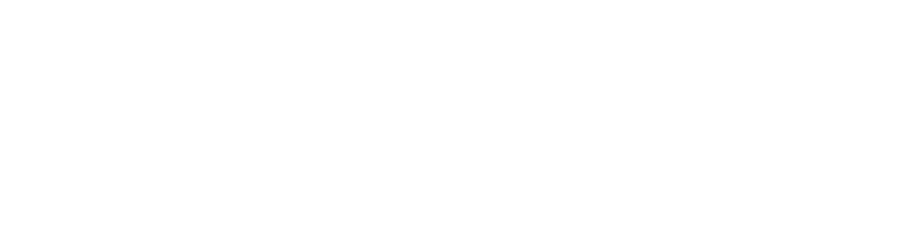  Bklyn Library/BPL Presents Logo
