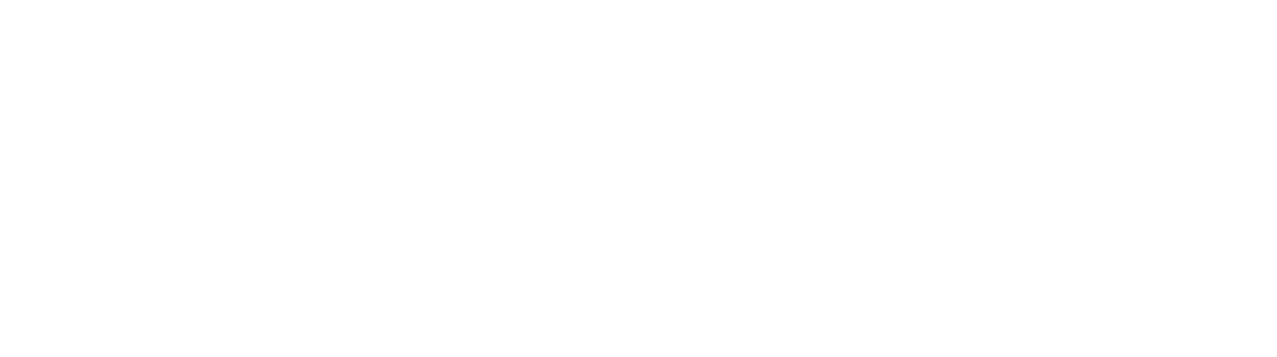 New York State Council on the Arts logo